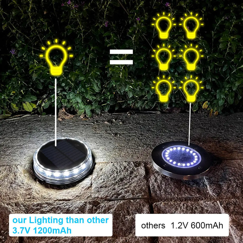 Solar Ground Lights  Essential Elegance By MustardSeed.com   