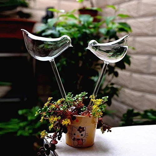 Self-Watering Plant Glas Bulb  Essential Elegance By MustardSeed.com   