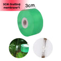 Grafting Film Tool Set  Essential Elegance By MustardSeed.com Transparent Tape 3cm  