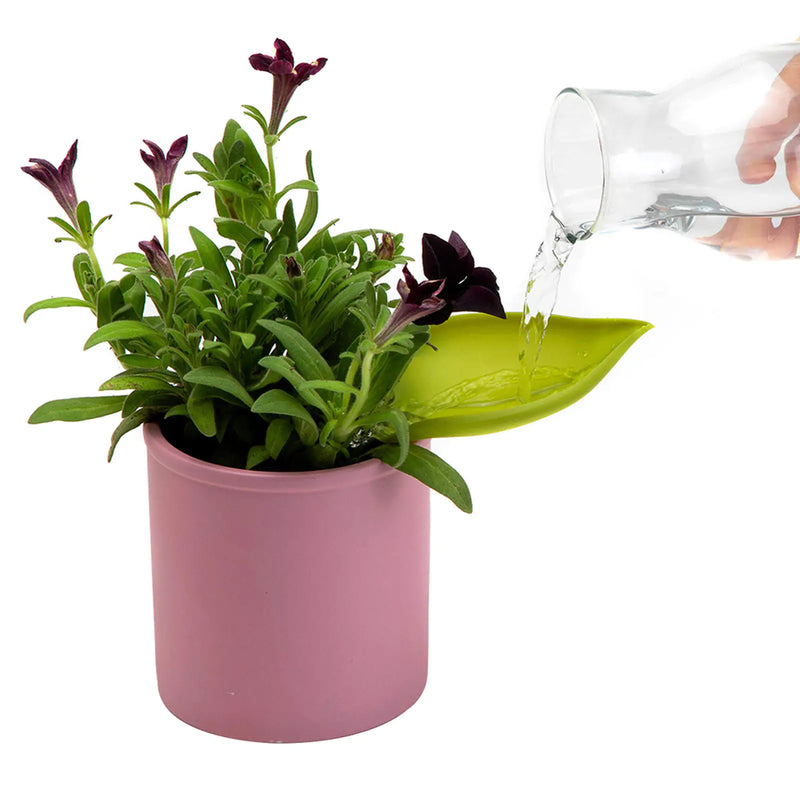 Plant Watering Funnel  Essential Elegance By MustardSeed.com   