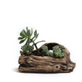 Garden Tree-Shaped Resin Succulent Planter  Essential Elegance By MustardSeed.com D About 19x9x8Centimeter 