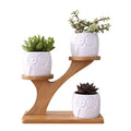 White Ceramic Succulent Pot  Essential Elegance By MustardSeed.com White  