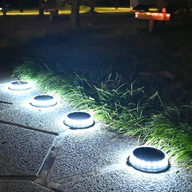 Solar Ground Lights  Essential Elegance By MustardSeed.com White  