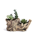 Garden Tree-Shaped Resin Succulent Planter  Essential Elegance By MustardSeed.com I About 19x9x8Centimeter 