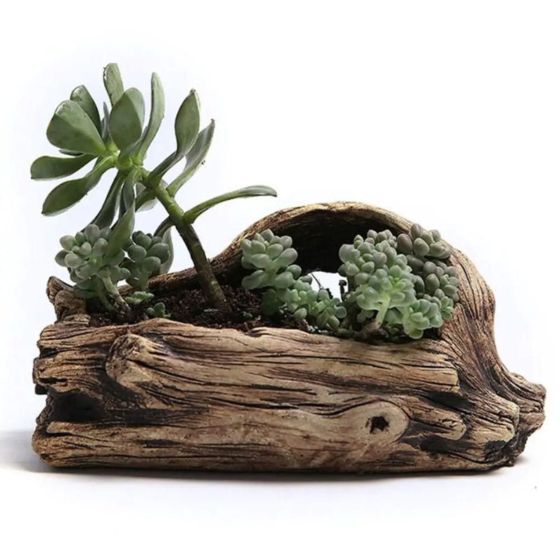 Garden Tree-Shaped Resin Succulent Planter  Essential Elegance By MustardSeed.com   