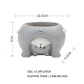 Cartoon Animal Flower Pot  Essential Elegance By MustardSeed.com Cat  