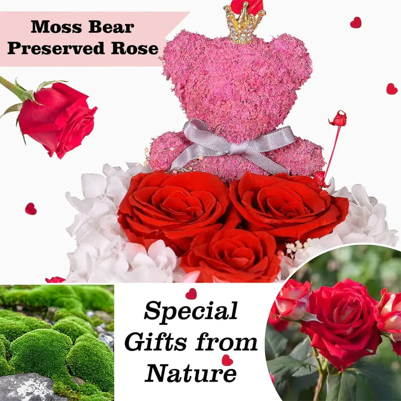 Eternal Rose Flower Gift Box  Essential Elegance By MustardSeed.com   