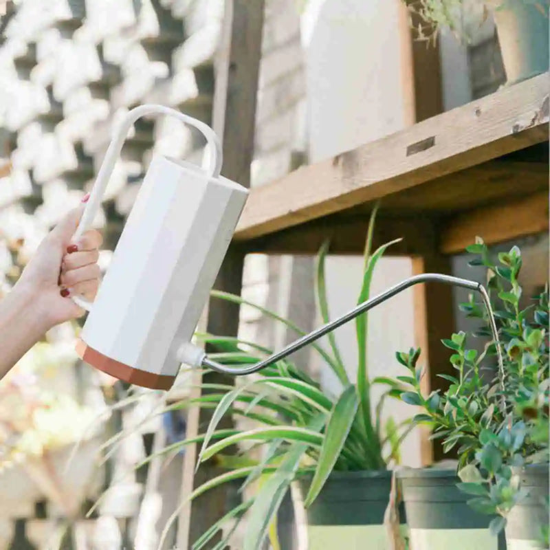 Stainless Steel Watering Can  Essential Elegance By MustardSeed.com   