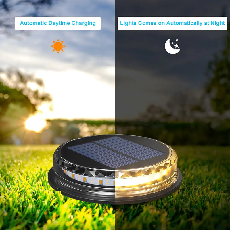 Solar Ground Lights  Essential Elegance By MustardSeed.com   