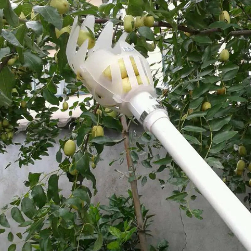 Garden Multi-Color Fruit Picker Head  Essential Elegance By MustardSeed.com White 9*20cm 