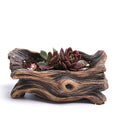 Garden Tree-Shaped Resin Succulent Planter  Essential Elegance By MustardSeed.com J About 19x9x8 Centimeter 